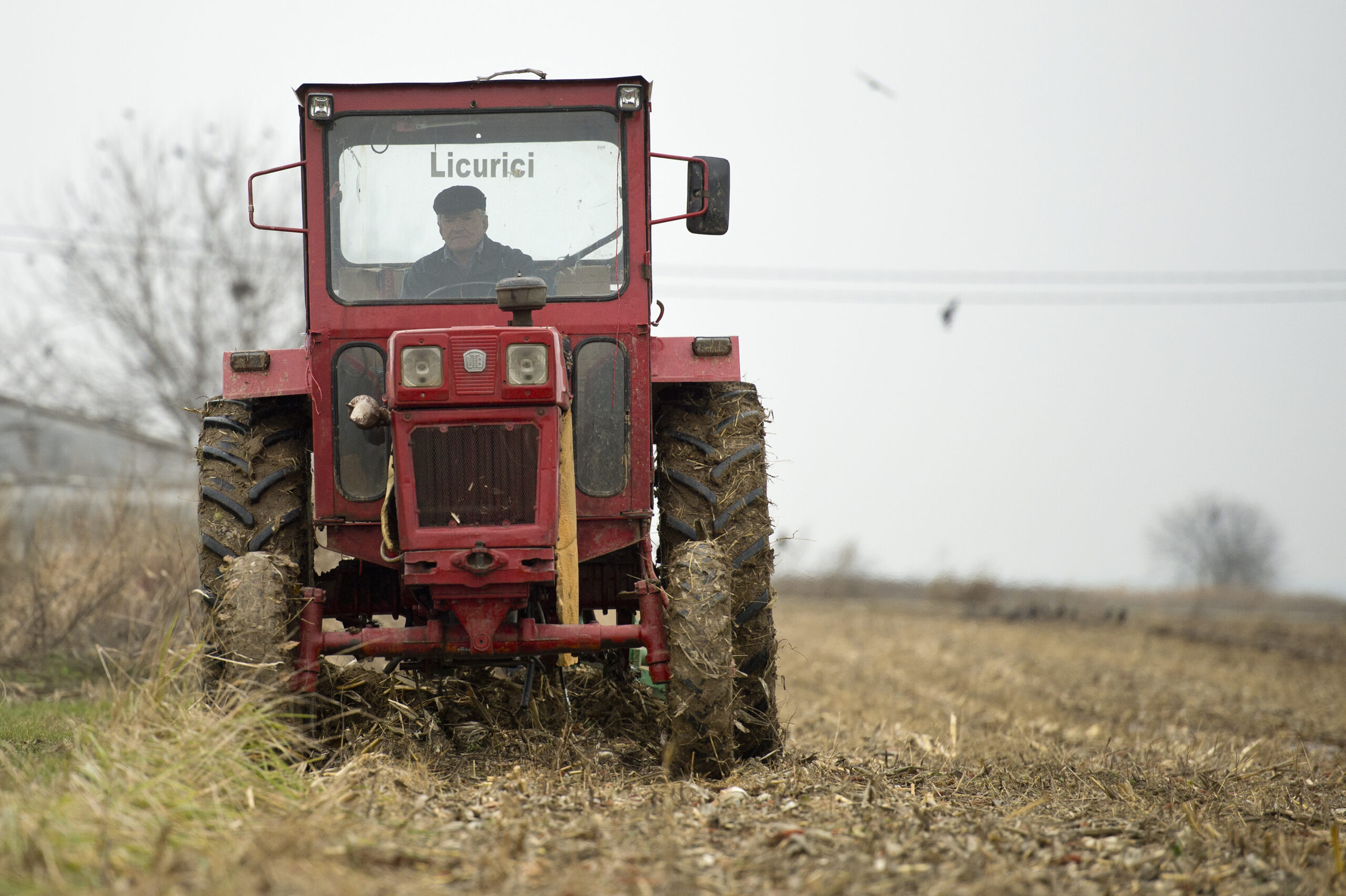 AgriLink: Explorarea sistemului român de consultanță