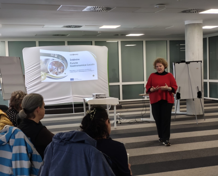 VISIONARY: Second SPI Workshop