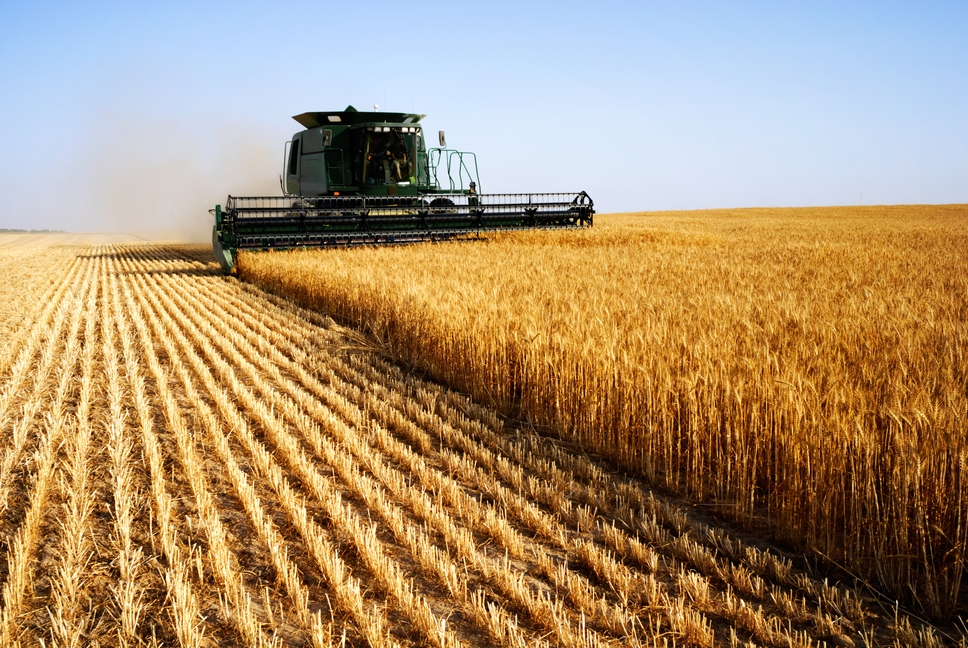 Join the EU-FarmBook Forum, ”Turning Knowledge into Action for Competitive Farms and Forests”